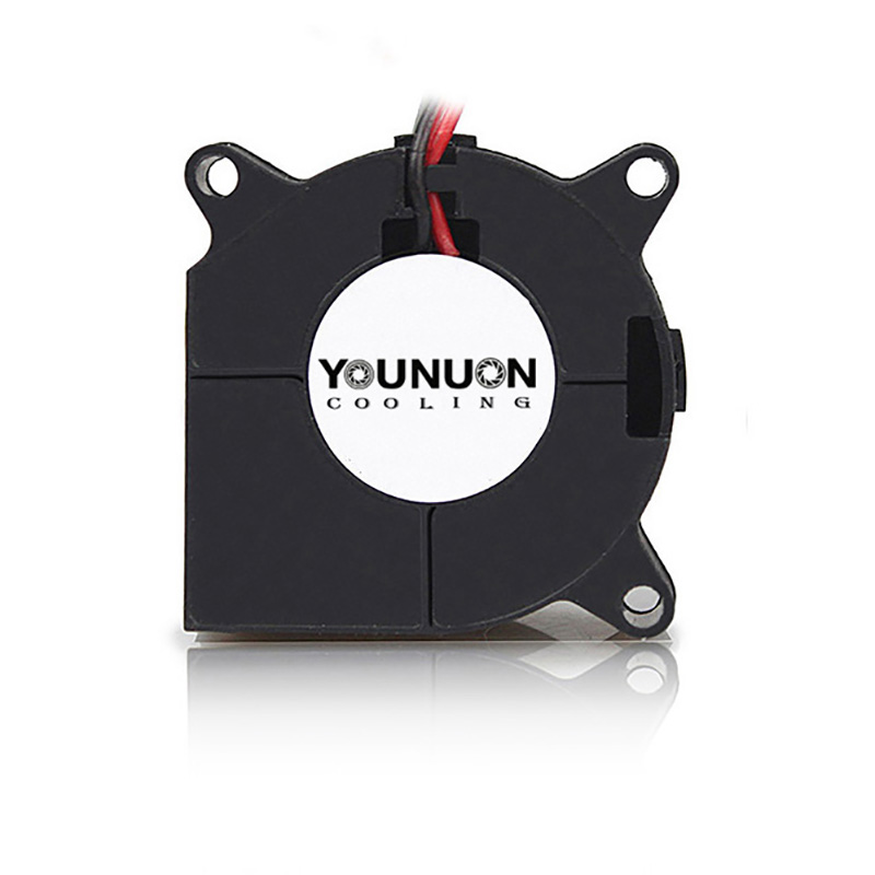 2 Pieces 40mm Blower Fan 4020  - 3D Printer Power Supply review and price