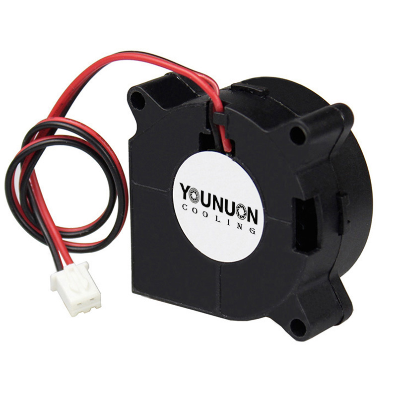 2 Pieces 40mm Blower Fan 4020  - 3D Printer Power Supply review and price