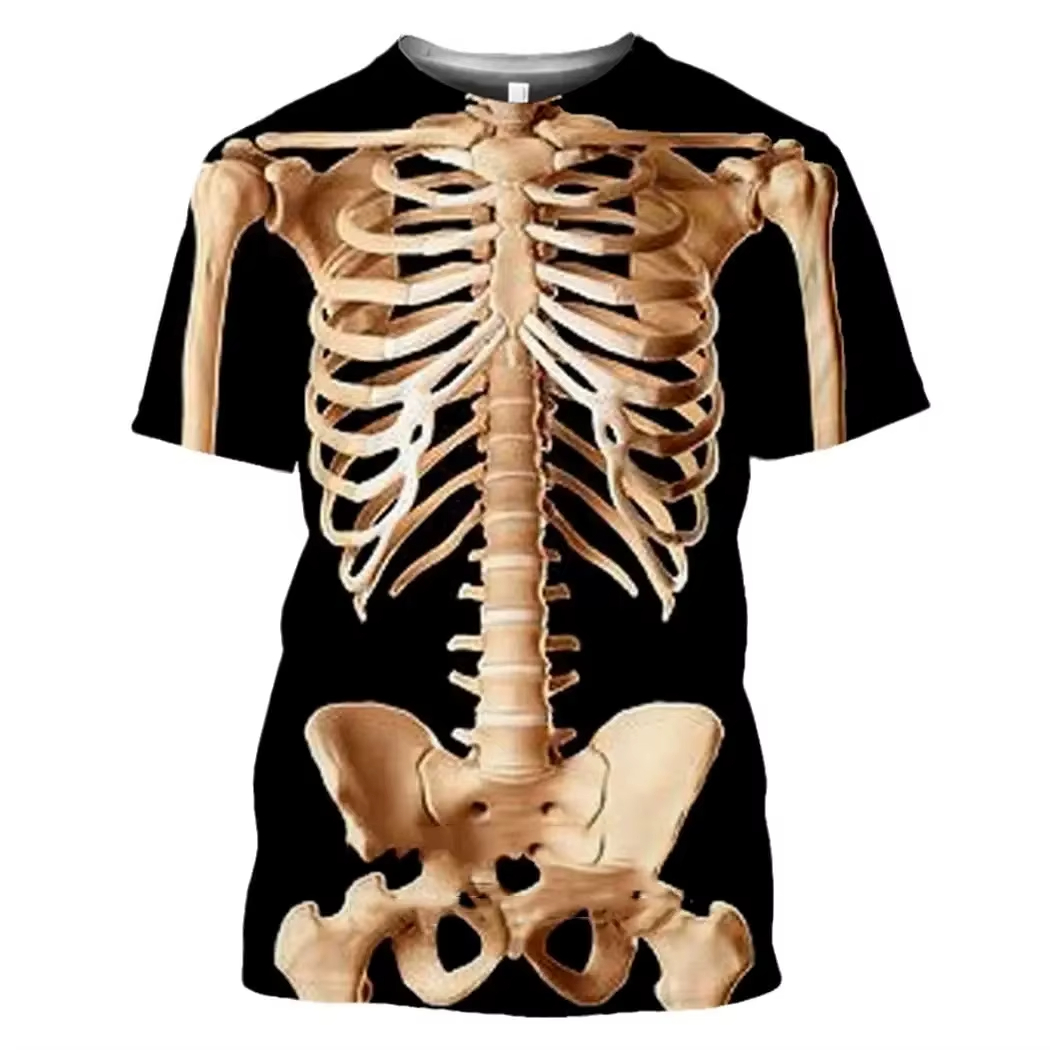 Male Skeleton Internal Organs  - 3D Printing Diagram review and price