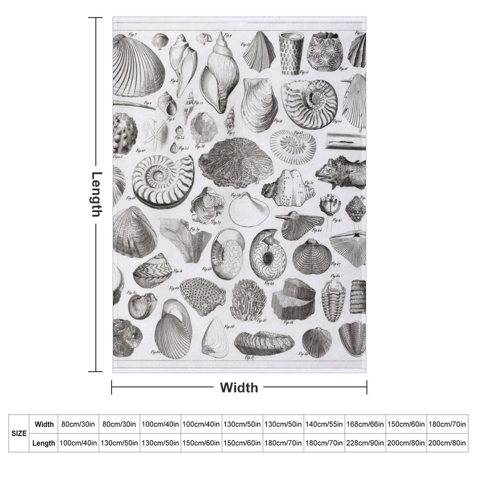 1857 Diagram Paleontology: Fos - 3D Printing Diagram review and price