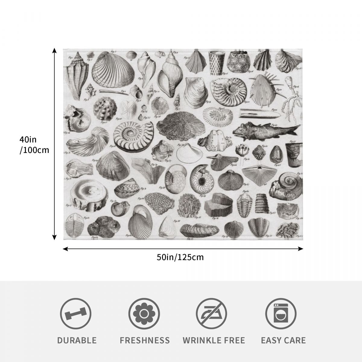 1857 Diagram Paleontology: Fos - 3D Printing Diagram review and price